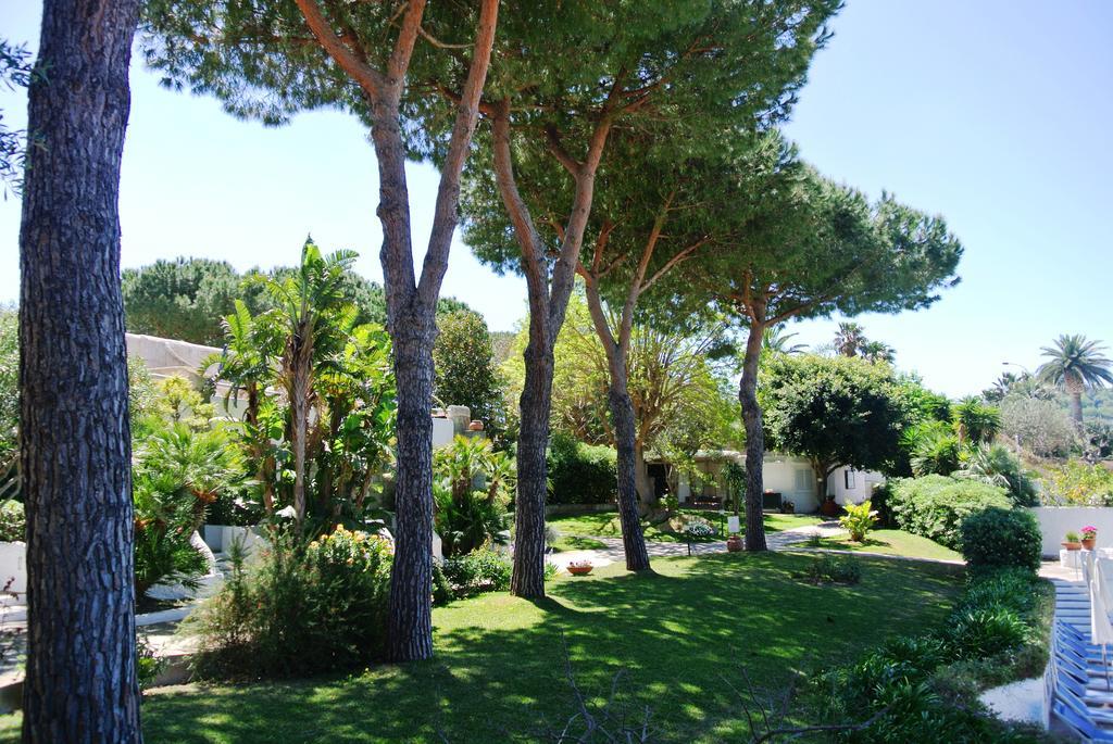 Paradiso Terme Resort & Spa Con 5 Piscine Termali Forio di Ischia Dış mekan fotoğraf